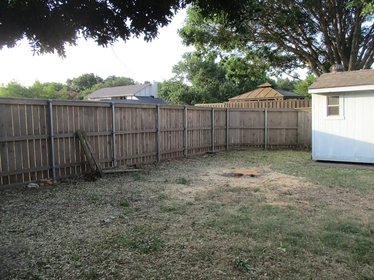 Cleared yard after professional tree removal in Chester
